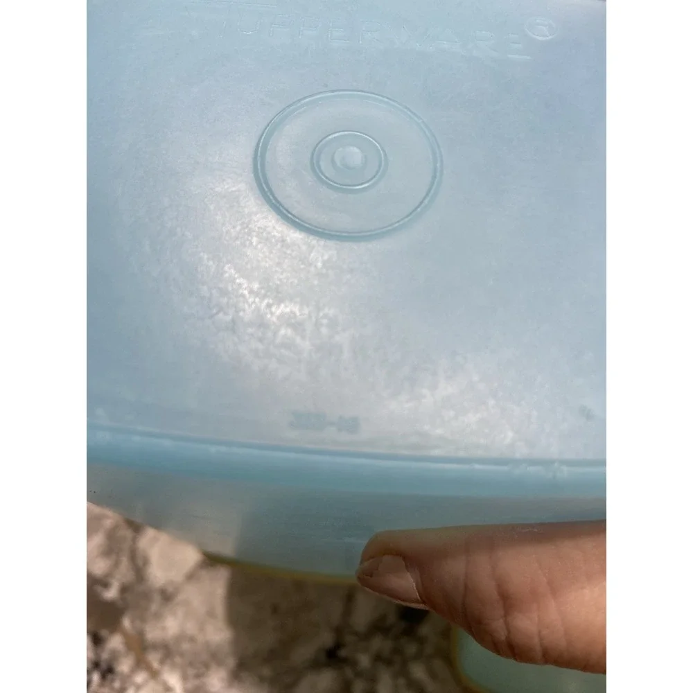 Vintage Tupperware Storage Freezer Containers 4 Bowls With Lids